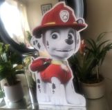 311890073_156669250386108_7045369851585298143_n