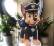 312144123_429061616009233_7604868271606612305_n